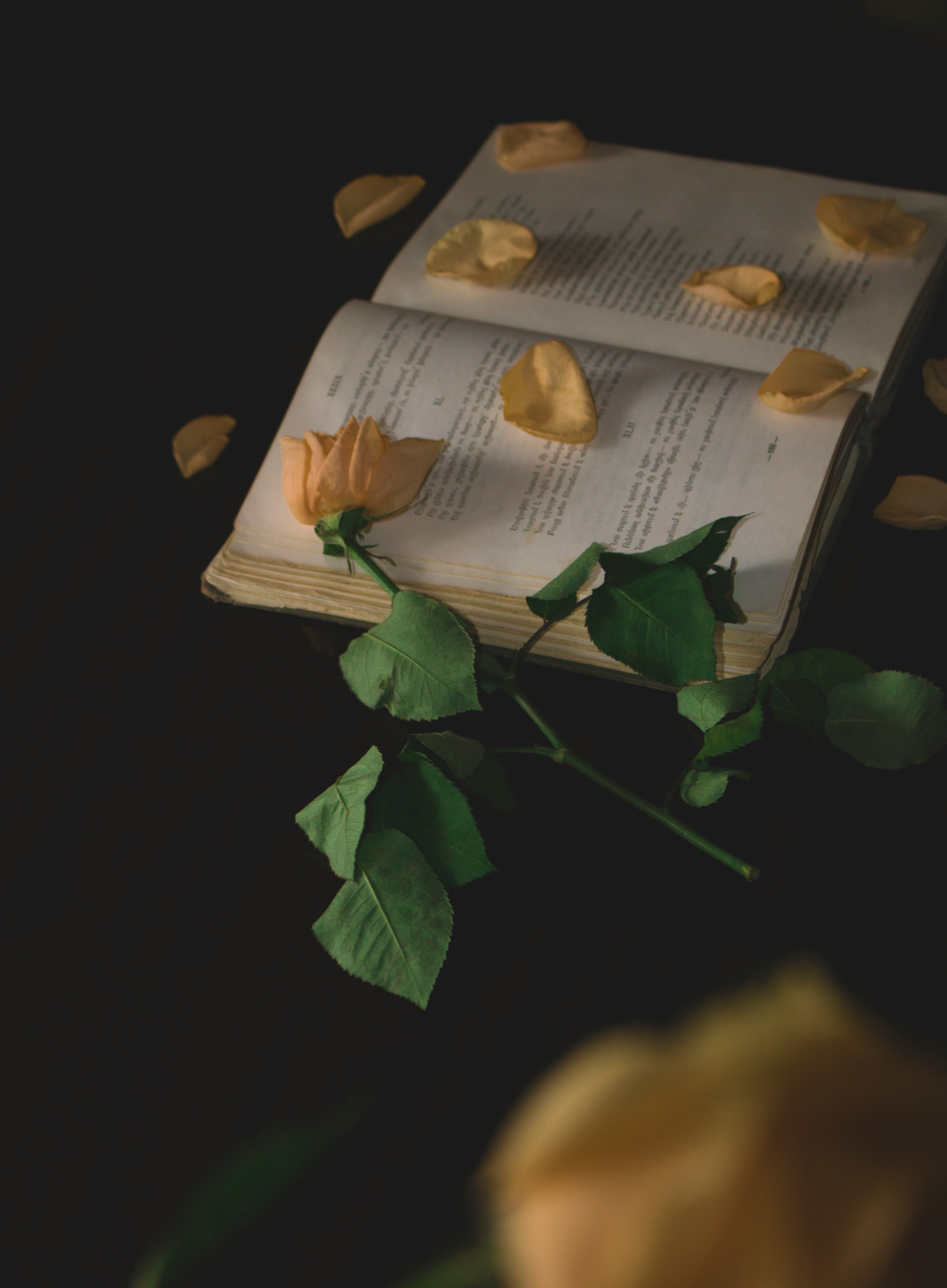 Mercury in the 7th House: A Love Note